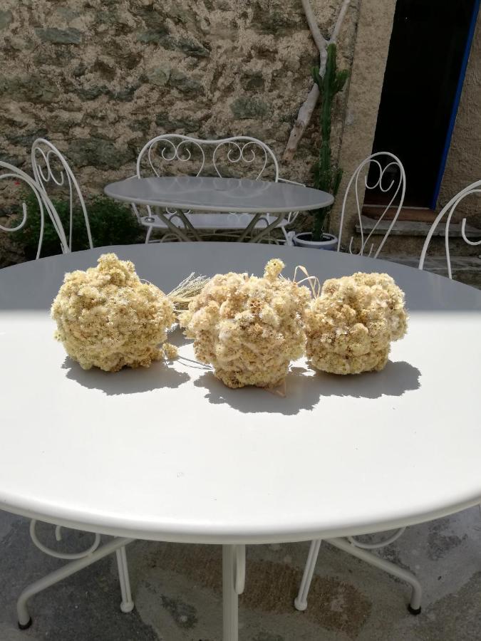 Parfumu Di Celu Hotel Santa-Lucia-di-Mercurio Екстериор снимка